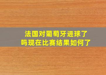 法国对葡萄牙进球了吗现在比赛结果如何了