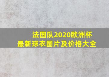 法国队2020欧洲杯最新球衣图片及价格大全