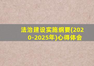 法治建设实施纲要(2020-2025年)心得体会