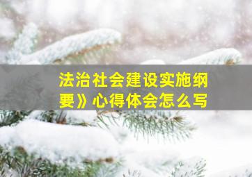 法治社会建设实施纲要》心得体会怎么写