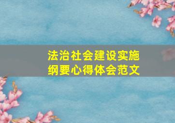 法治社会建设实施纲要心得体会范文