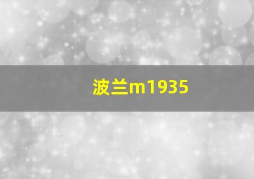 波兰m1935