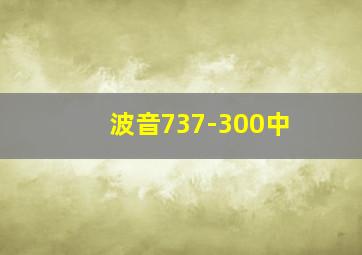 波音737-300中