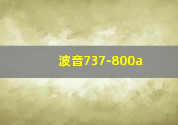 波音737-800a