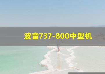 波音737-800中型机