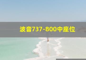 波音737-800中座位