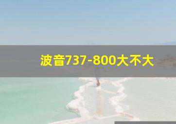 波音737-800大不大