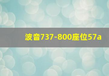 波音737-800座位57a