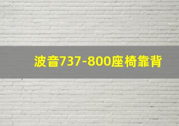 波音737-800座椅靠背