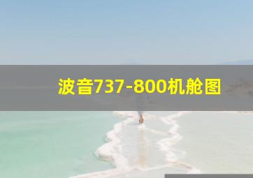 波音737-800机舱图