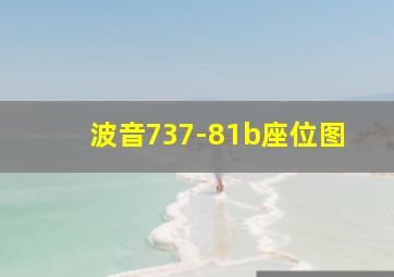 波音737-81b座位图