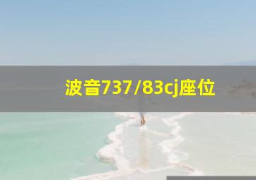 波音737/83cj座位