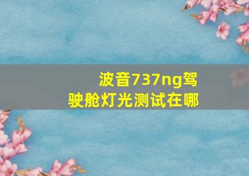 波音737ng驾驶舱灯光测试在哪