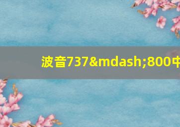 波音737—800中