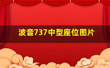 波音737中型座位图片