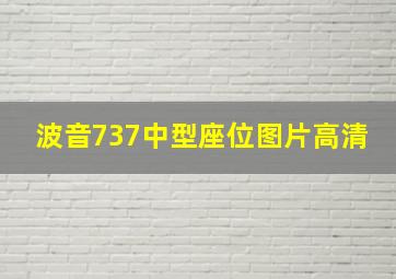 波音737中型座位图片高清