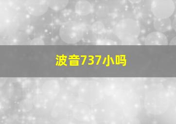 波音737小吗