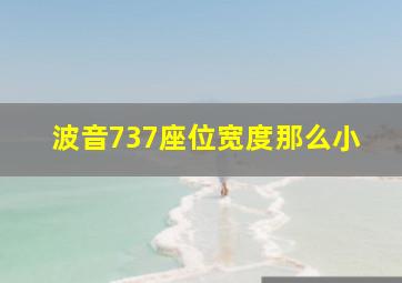 波音737座位宽度那么小