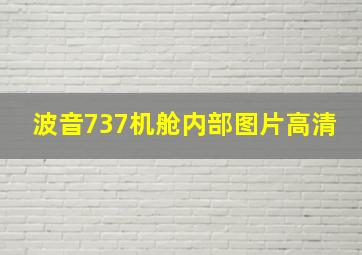 波音737机舱内部图片高清