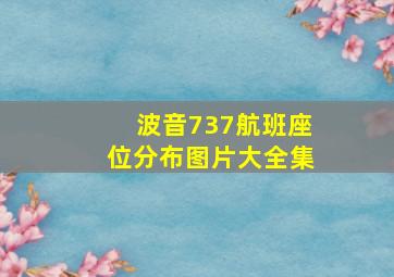 波音737航班座位分布图片大全集