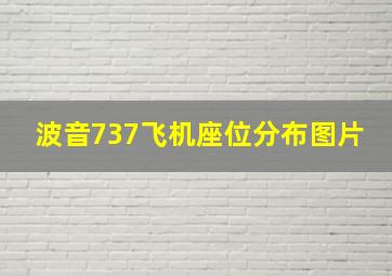 波音737飞机座位分布图片