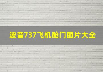 波音737飞机舱门图片大全