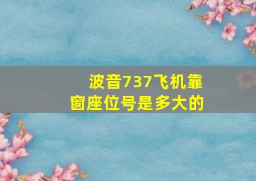 波音737飞机靠窗座位号是多大的