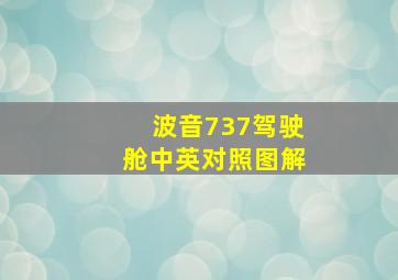 波音737驾驶舱中英对照图解