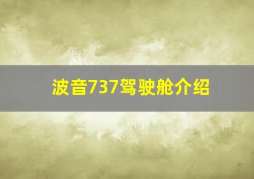 波音737驾驶舱介绍