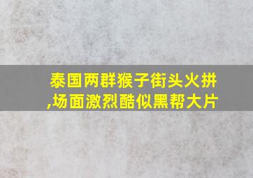 泰国两群猴子街头火拼,场面激烈酷似黑帮大片