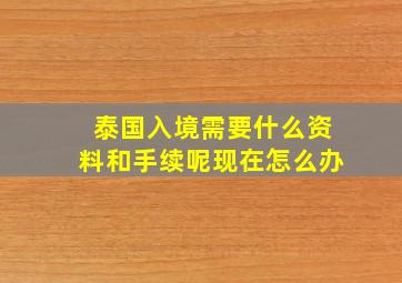 泰国入境需要什么资料和手续呢现在怎么办