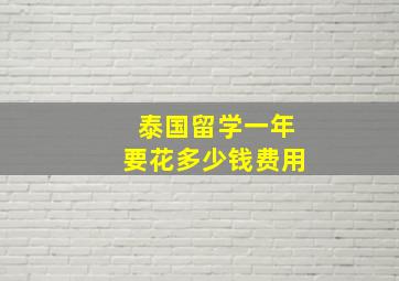 泰国留学一年要花多少钱费用