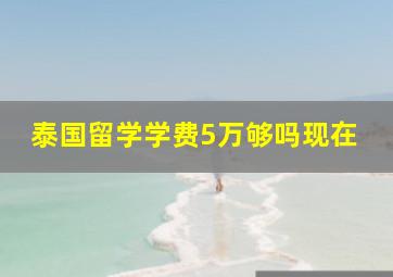 泰国留学学费5万够吗现在