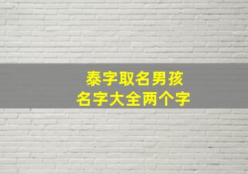 泰字取名男孩名字大全两个字