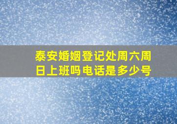 泰安婚姻登记处周六周日上班吗电话是多少号