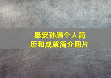 泰安孙鹏个人简历和成就简介图片