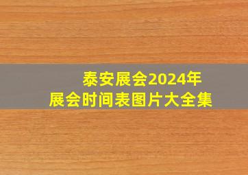 泰安展会2024年展会时间表图片大全集