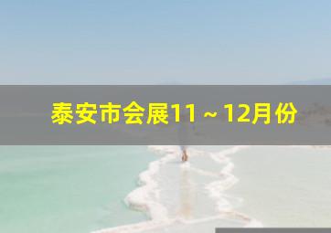 泰安市会展11～12月份