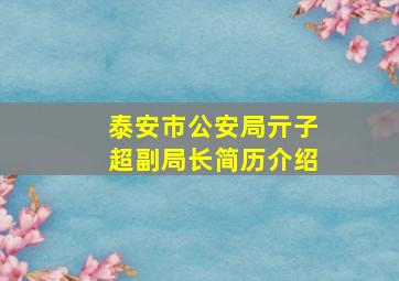 泰安市公安局亓子超副局长简历介绍