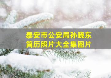 泰安市公安局孙晓东简历照片大全集图片