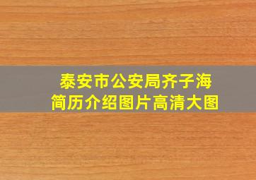 泰安市公安局齐子海简历介绍图片高清大图