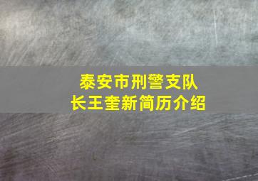 泰安市刑警支队长王奎新简历介绍