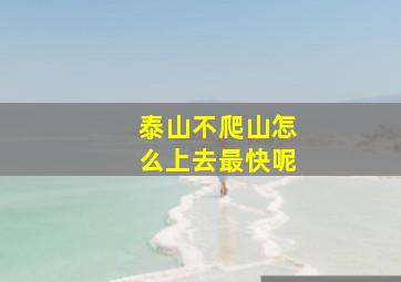 泰山不爬山怎么上去最快呢