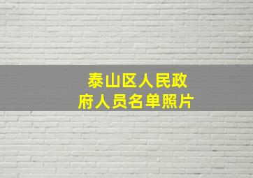 泰山区人民政府人员名单照片