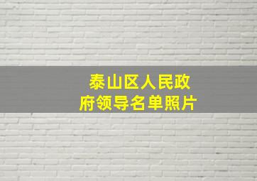 泰山区人民政府领导名单照片