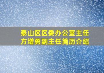 泰山区区委办公室主任方增勇副主任简历介绍