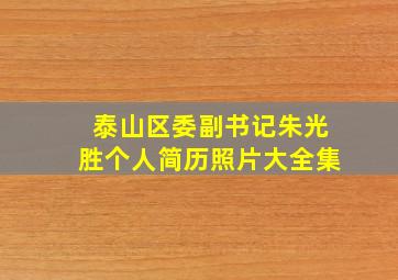 泰山区委副书记朱光胜个人简历照片大全集