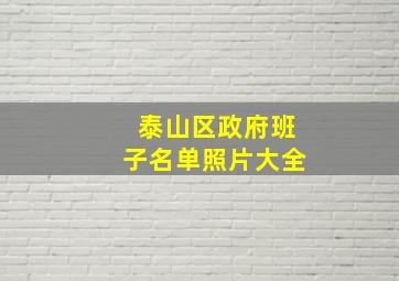 泰山区政府班子名单照片大全