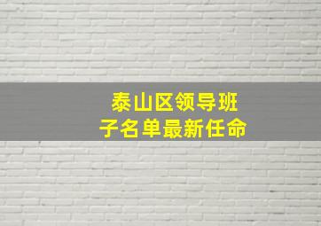 泰山区领导班子名单最新任命