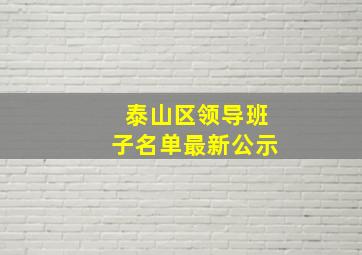 泰山区领导班子名单最新公示